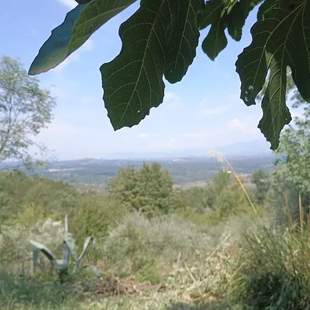 Fabra Casa Mia E Non Solo Panzió Falvaterra