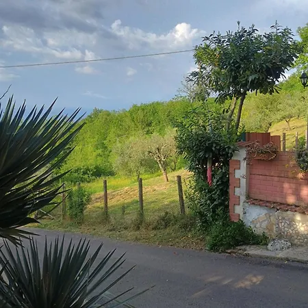 Fabra Casa Mia E Non Solo Panzió Falvaterra